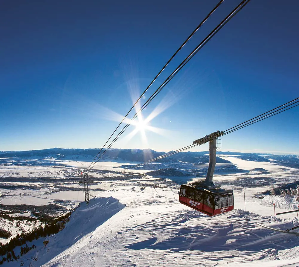 The Ultimate Ski Book